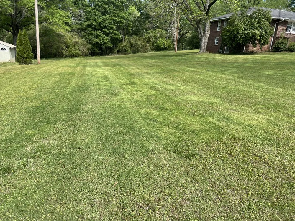 Local garden landscaping for year-round maintenance across Commerce, GA - C&C Lawncare