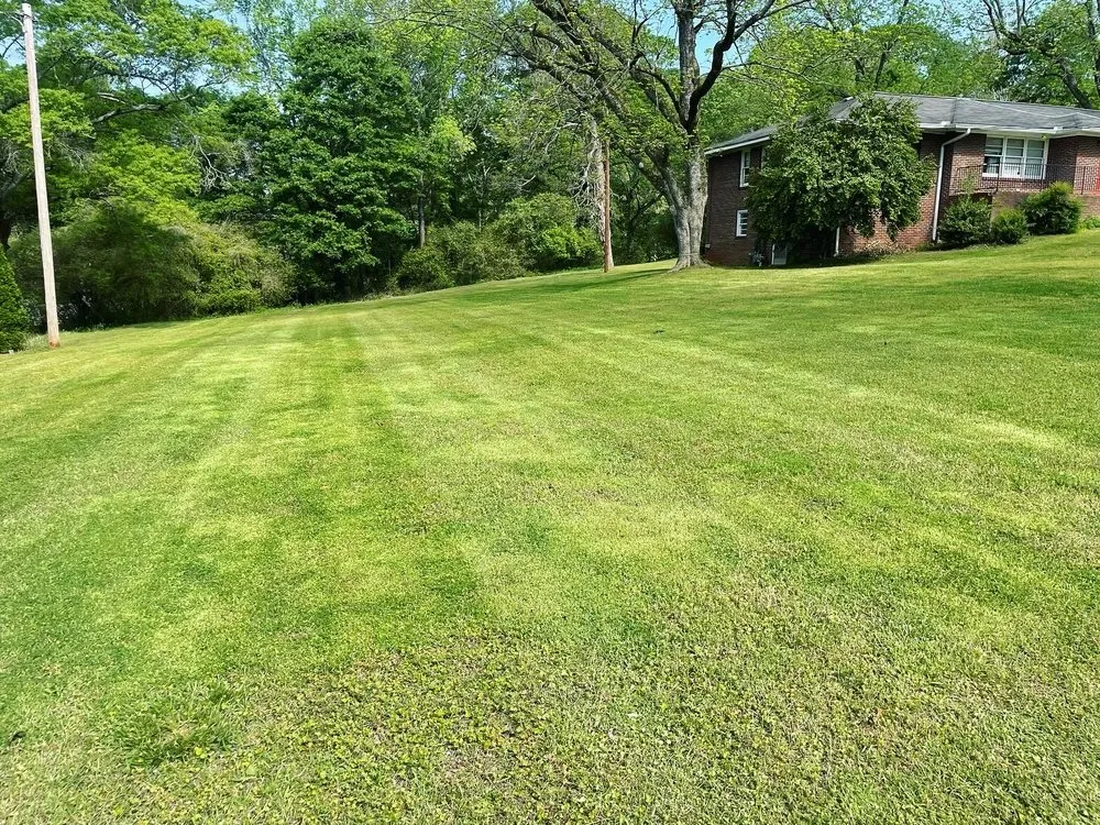Local lawn care service in Commerce, GA by C&C Lawncare