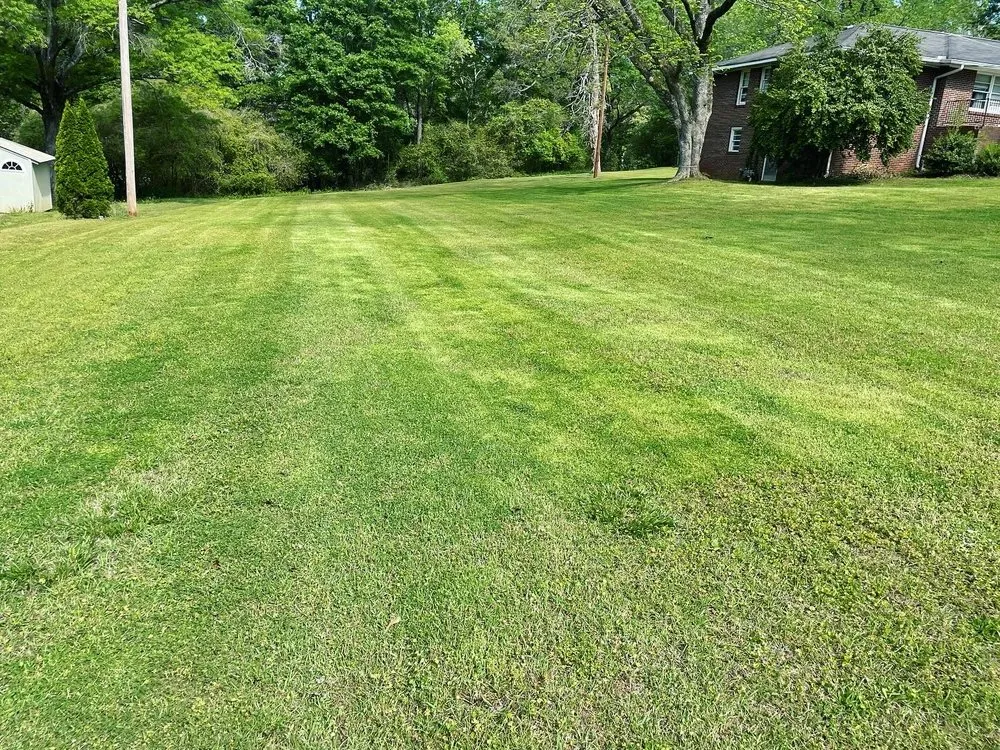 Expert landscape installation in Commerce, GA by C&C Lawncare