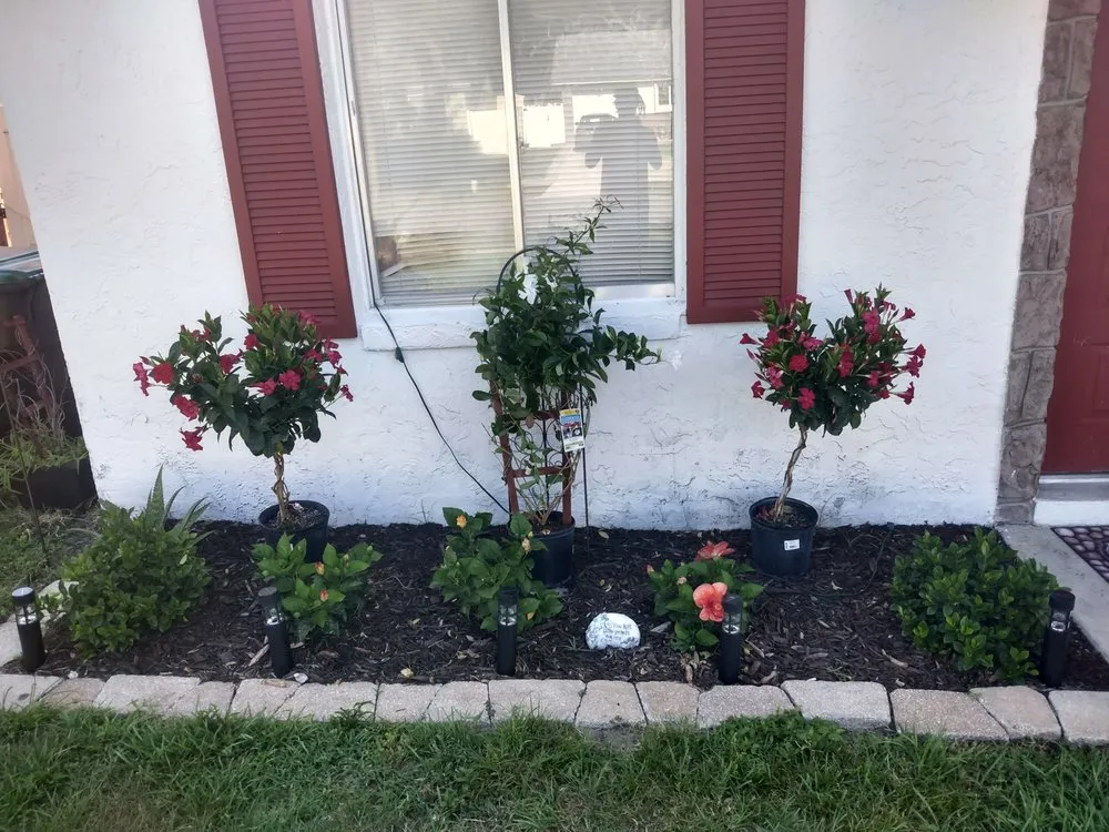 Affordable lawn care service in Orlando, FL - C&C lawns and handy work