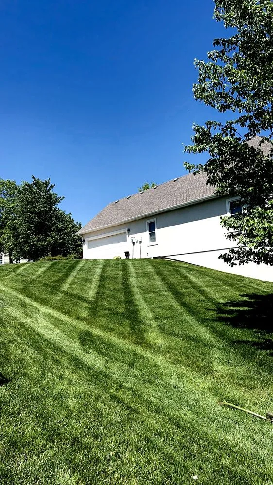 Top-rated yard cleanup service experts serving Chaffee, MO - C&C Lawns
