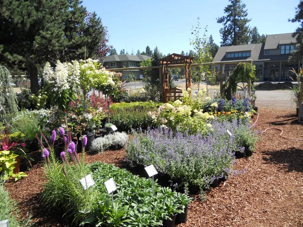 Trusted lawn mowing service experts serving Sisters, OR - C&C Nursery and Landscape Maintenance