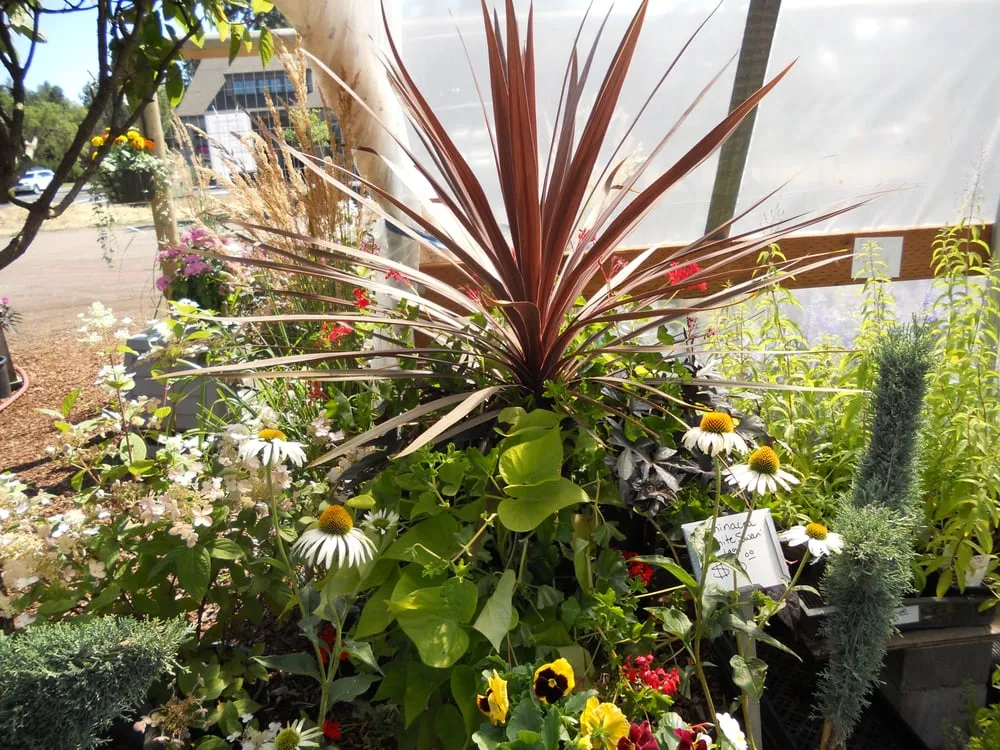 Top-rated landscaping services for year-round maintenance across Sisters, OR - C&C Nursery and Landscape Maintenance