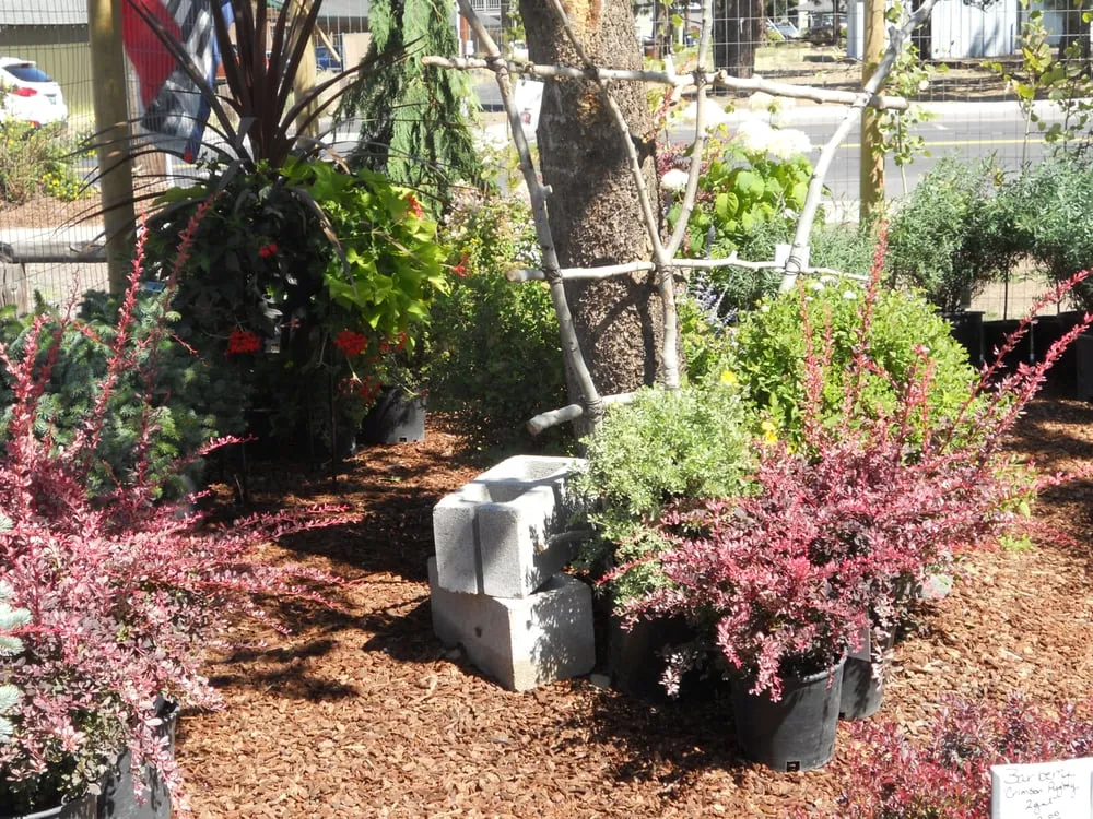 Affordable garden landscaping in Sisters, OR - C&C Nursery and Landscape Maintenance