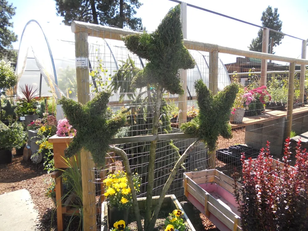 Reliable lawn mowing service in Sisters, OR - C&C Nursery and Landscape Maintenance