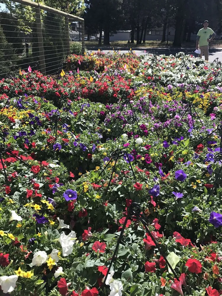 Local yard cleanup service in Sisters, OR by C&C Nursery and Landscape Maintenance