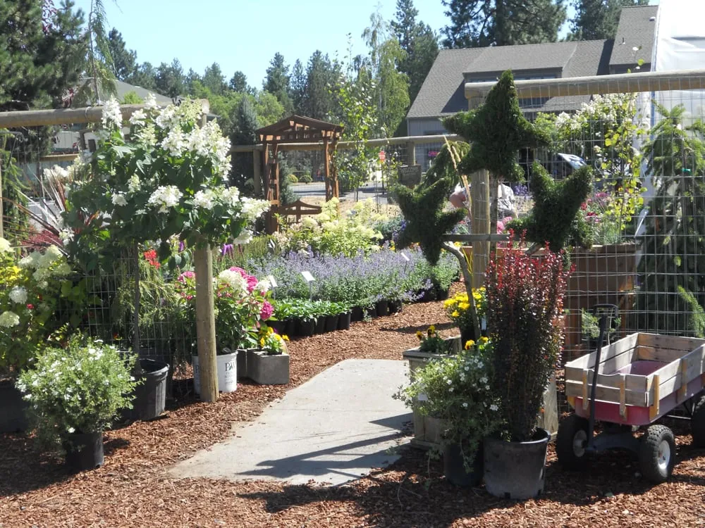 Professional lawn mowing service with custom design in Sisters, OR by C&C Nursery and Landscape Maintenance