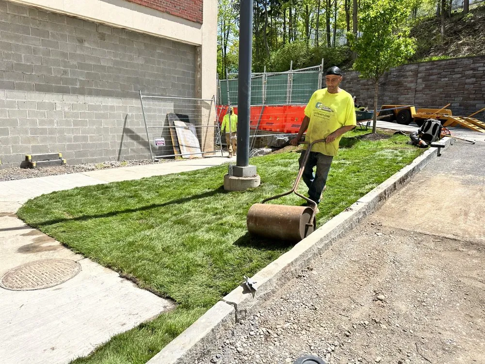 Local yard cleanup service in Syracuse, NY - CC Paving & Excavating