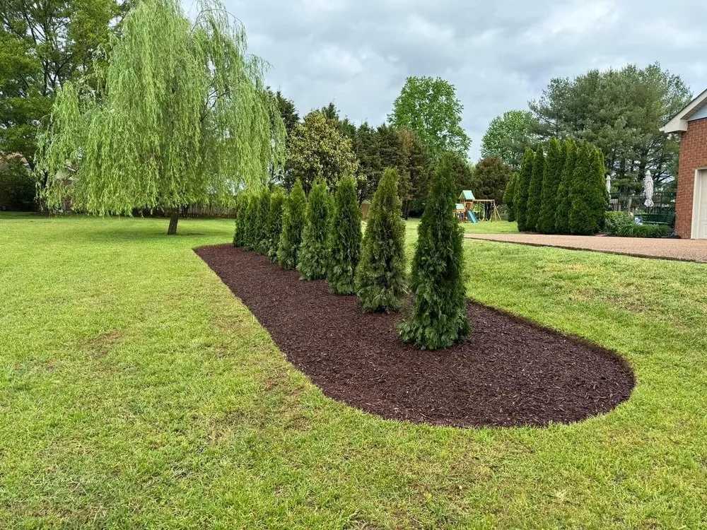 Expert yard maintenance in Mt. Juliet, TN by C&C Professional Lawn Care