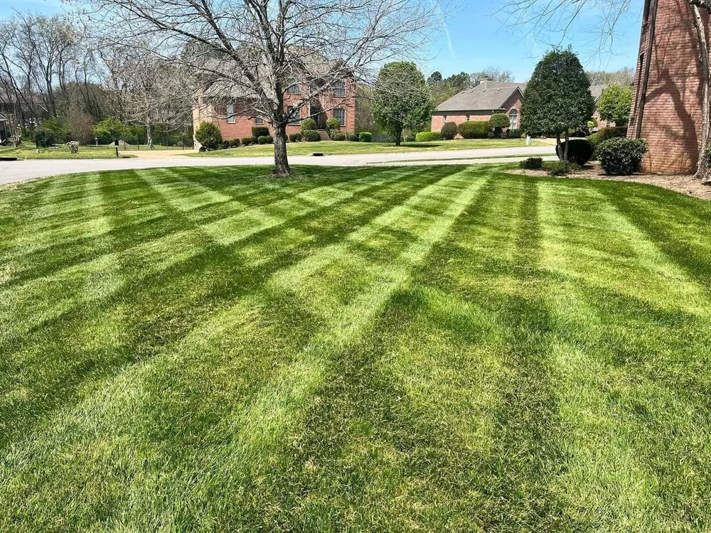 Reliable yard maintenance in Mt. Juliet, TN - C&C Professional Lawn Care