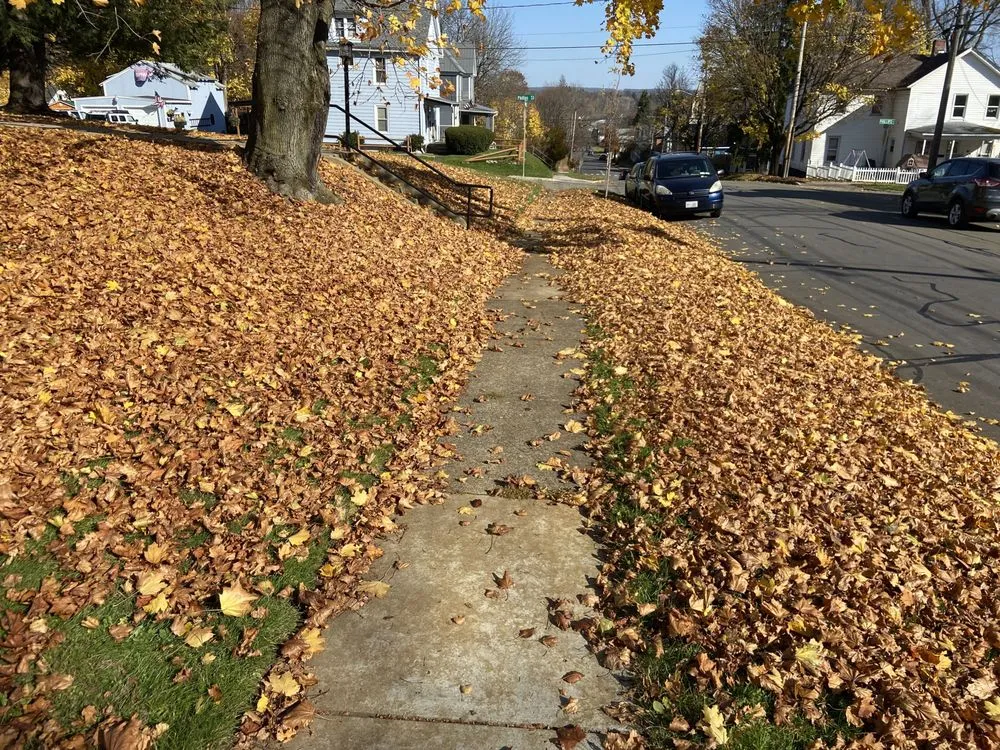 Custom lawn mowing service in Jamestown, NY by C&C Property Maintenance