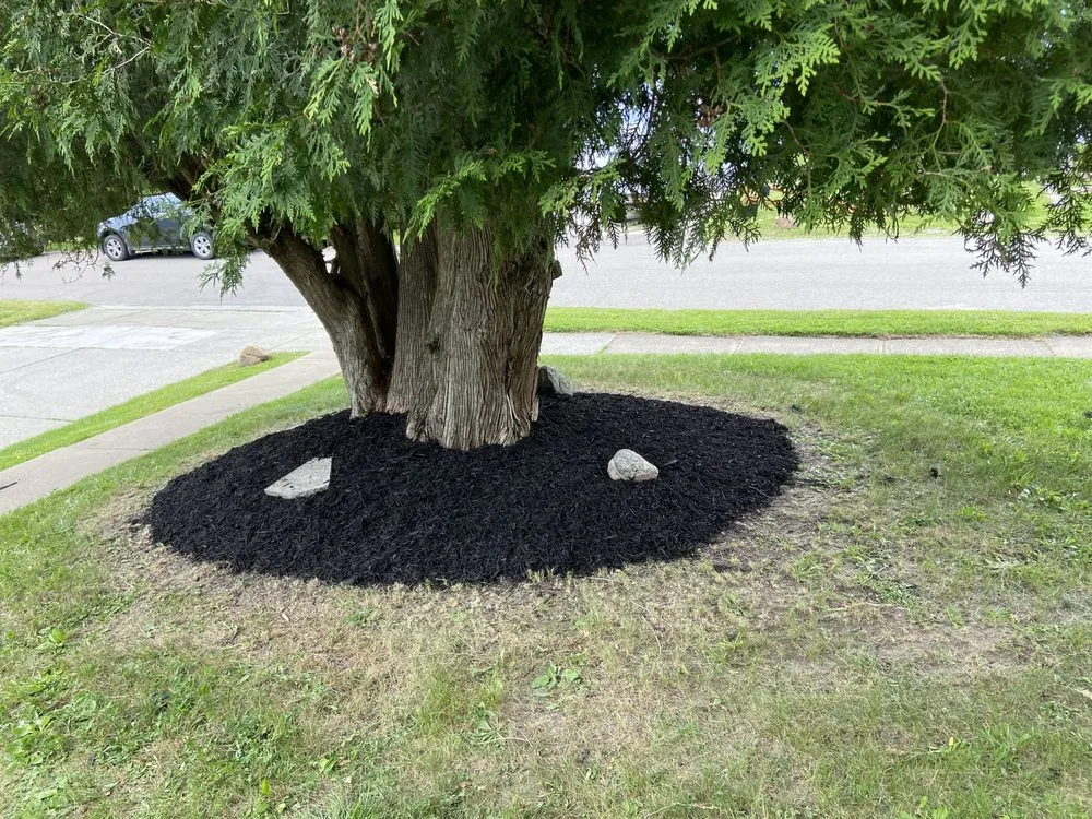 Local lawn mowing service near you in Jamestown, NY by C&C Property Maintenance