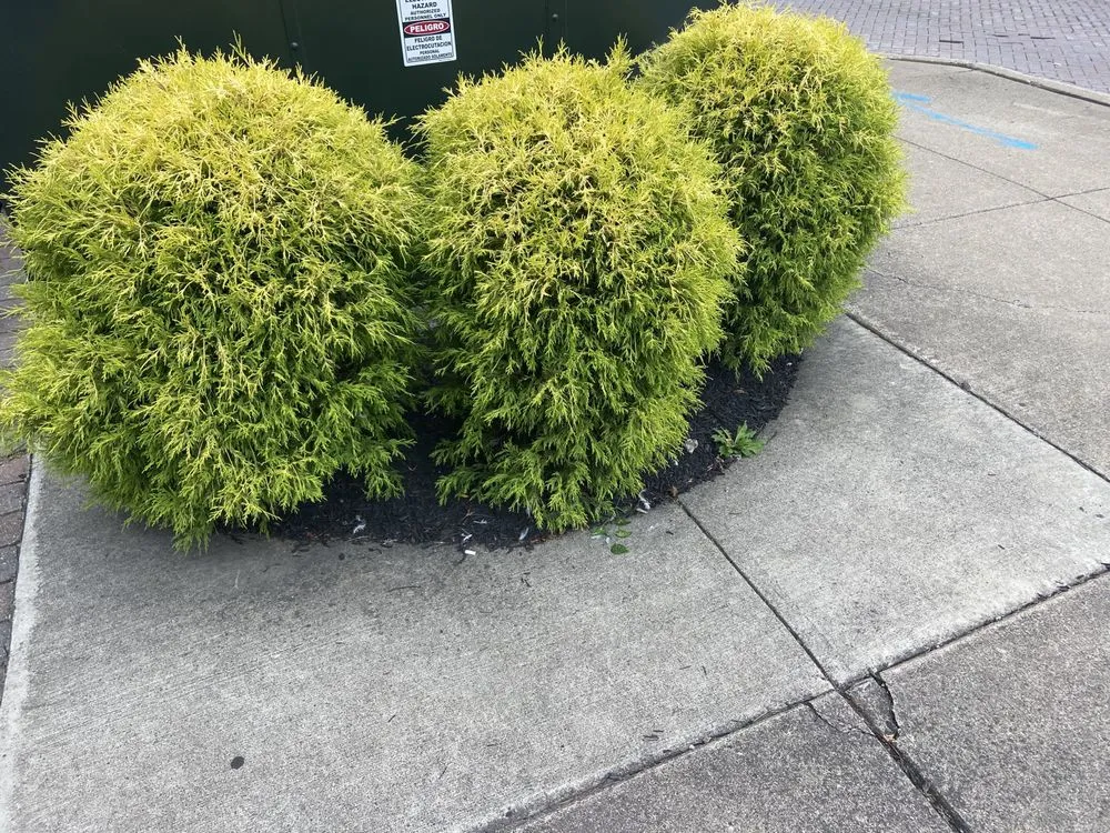 Top-rated residential landscaping for residential properties across Jamestown, NY - C&C Property Maintenance