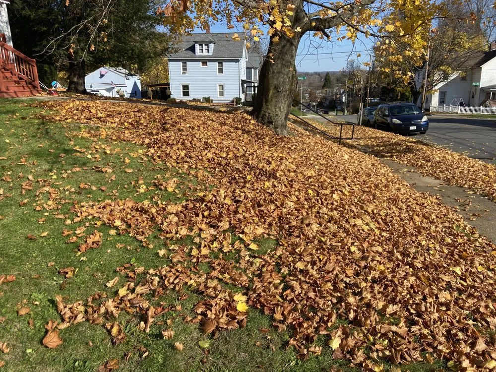 Trusted garden landscaping in Jamestown, NY by C&C Property Maintenance