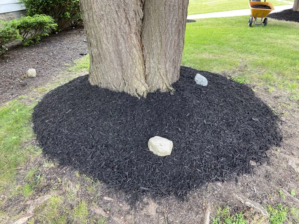 Expert garden landscaping for beautiful yards in Jamestown, NY by C&C Property Maintenance