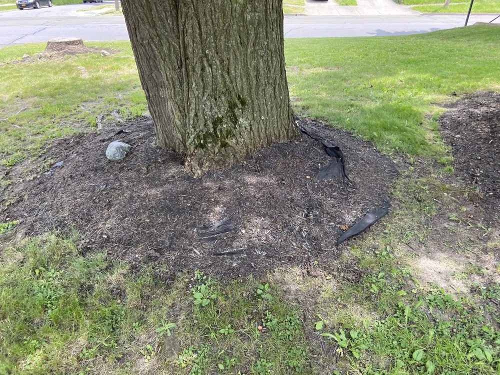 Trusted landscape installation with custom design across Jamestown, NY - C&C Property Maintenance