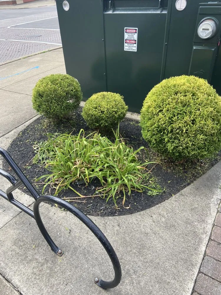 Custom landscape installation for homes in Jamestown, NY by C&C Property Maintenance