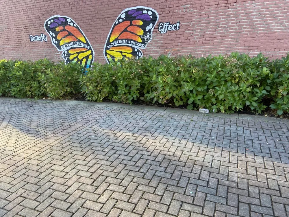 Trusted landscaping services in Jamestown, NY by C&C Property Maintenance