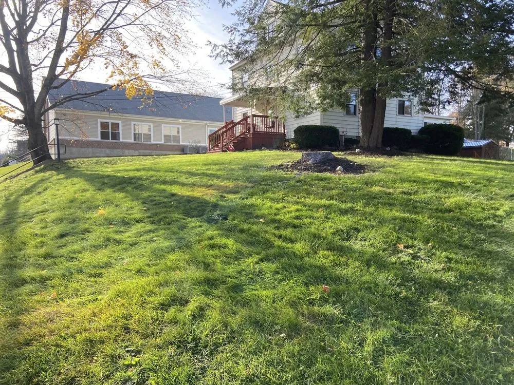 Trusted lawn mowing service experts serving Jamestown, NY - C&C Property Maintenance