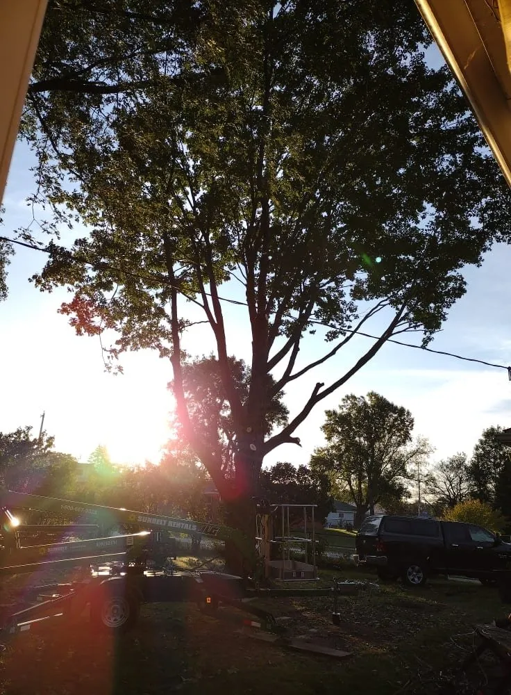 Professional residential landscaping in Wayne, MI - C&C Renovators