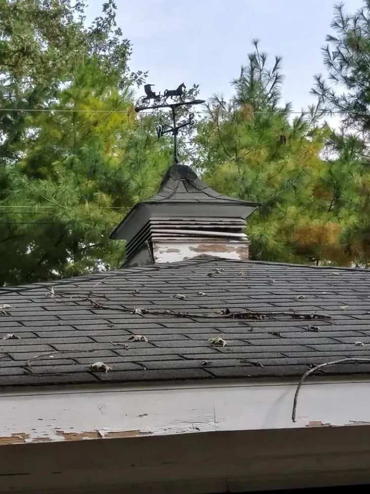 Affordable landscaping services for year-round maintenance across Wayne, MI - C&C Renovators