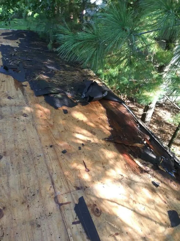 Top-rated landscape installation in Wayne, MI by C&C Renovators