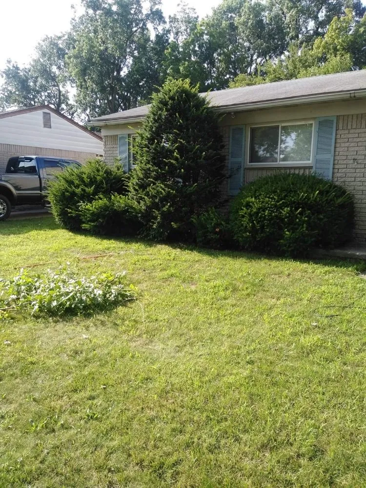 Affordable residential landscaping for outdoor upgrades in Wayne, MI by C&C Renovators