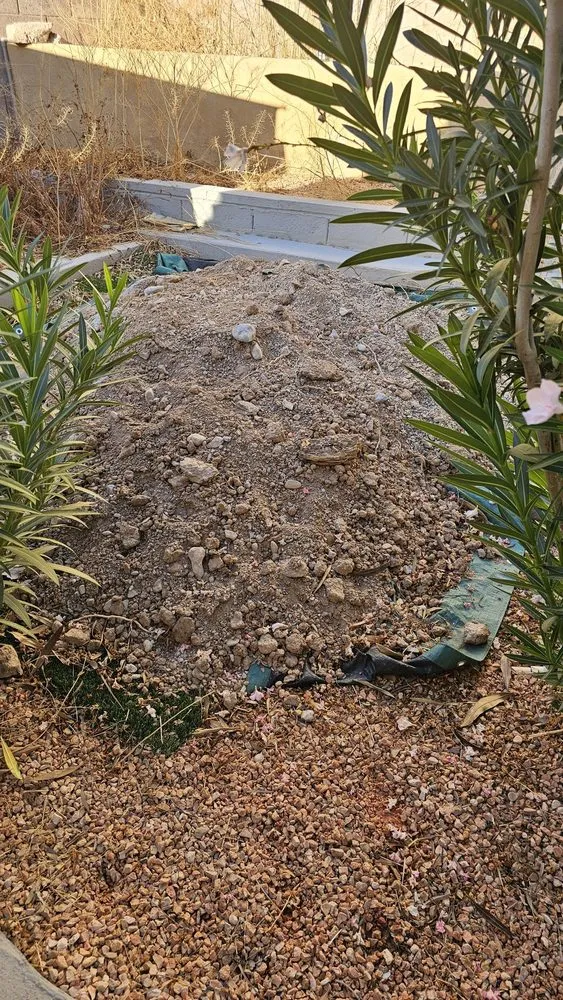 Reliable garden landscaping for homes across North Las Vegas, NV - C&C Services