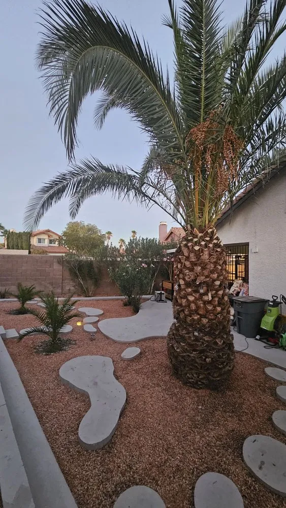 Reliable yard cleanup service near you across North Las Vegas, NV - C&C Services