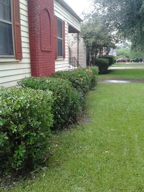 Custom yard maintenance near you in Shrevepor, LA by C&C Services