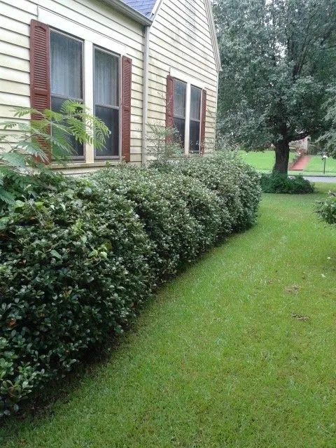 Custom garden landscaping in Shrevepor, LA by C&C Services