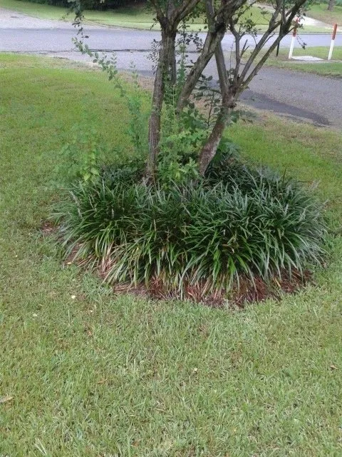 Affordable garden landscaping for homes across Shrevepor, LA - C&C Services