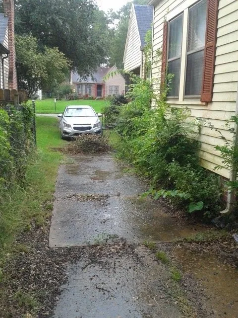 Top-rated garden landscaping in Shrevepor, LA - C&C Services