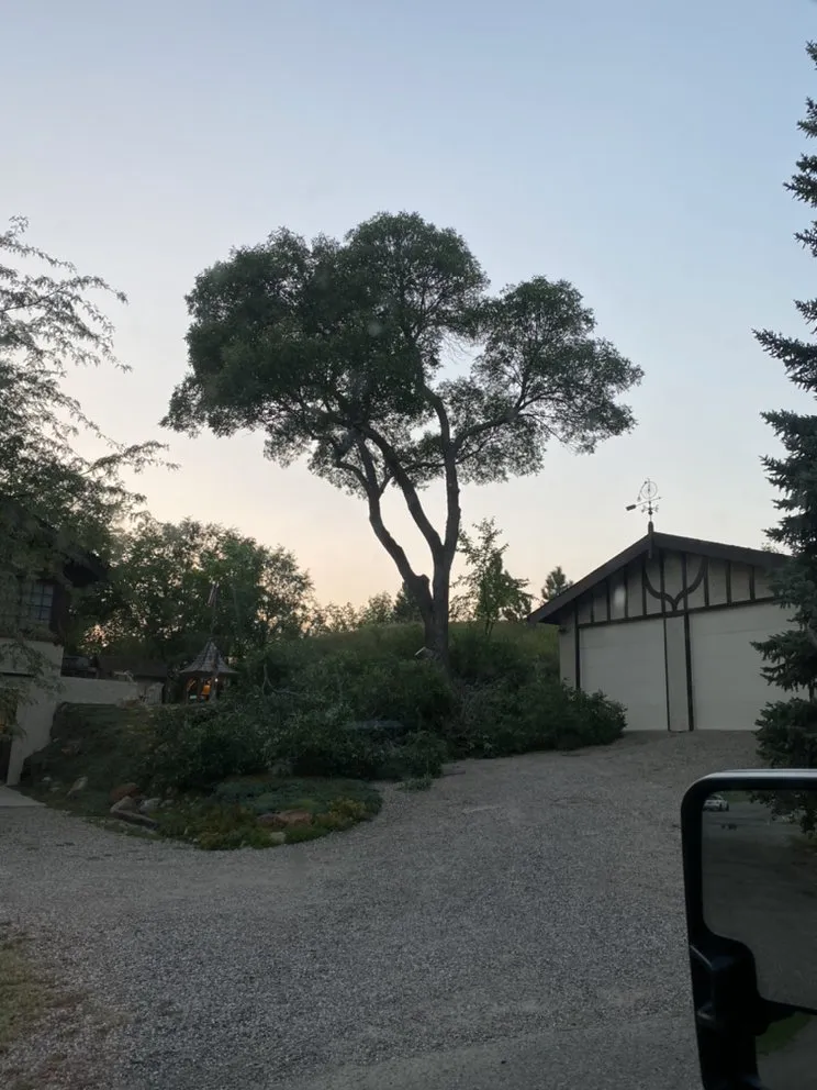 Custom yard maintenance in Minot, ND by C&C Tree & Snow