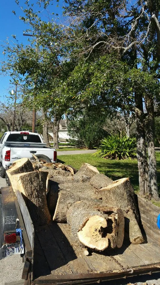Trusted lawn care service in Corpus Christi, TX - CC Tree Service
