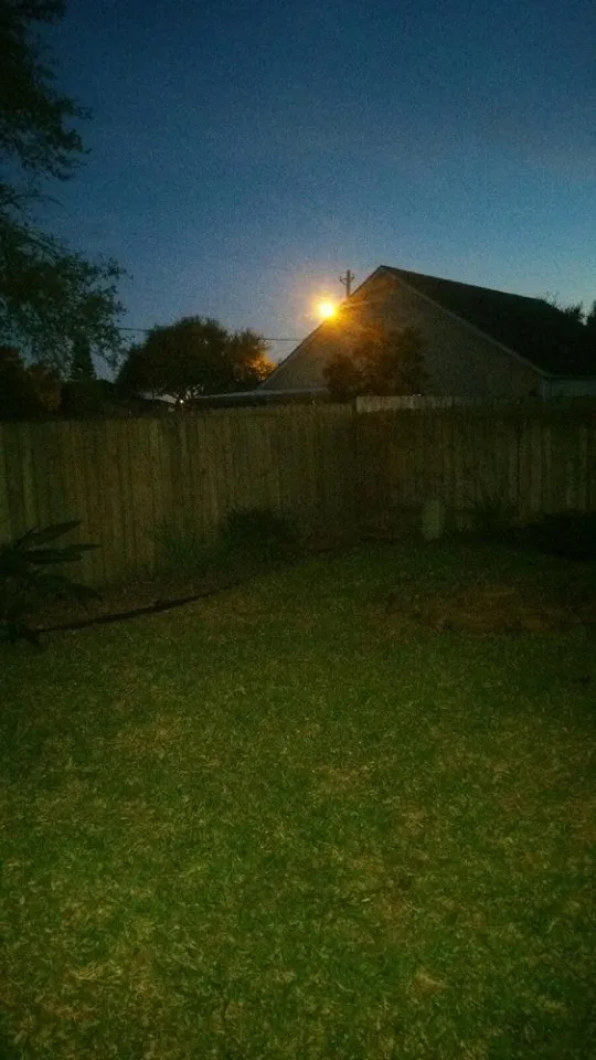 Custom yard cleanup service in Corpus Christi, TX - CC Tree Service