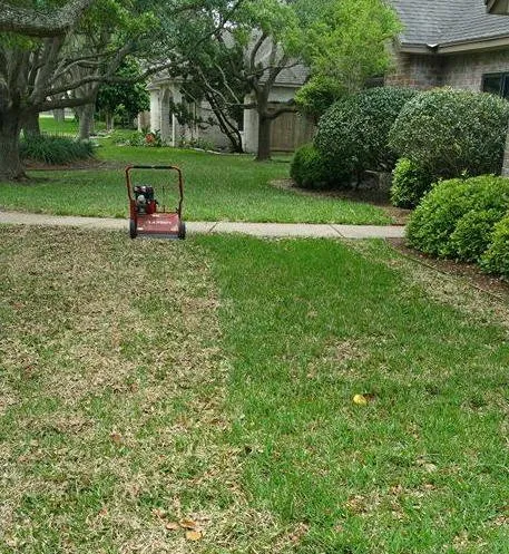 Reliable yard maintenance for residential properties in Corpus Christi, TX by CC Tree Service