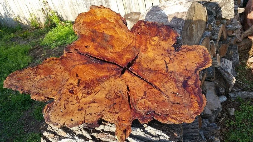 Trusted garden landscaping with custom design in Corpus Christi, TX by CC Tree Service