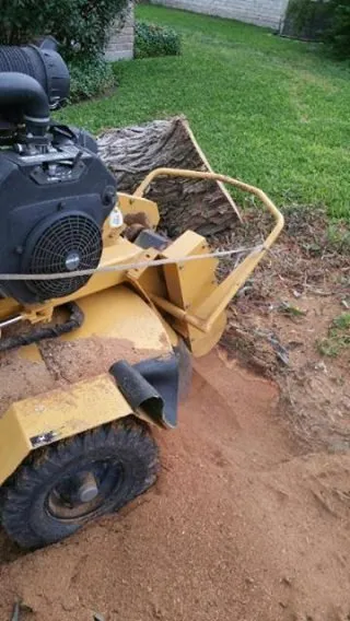 Reliable yard maintenance in Corpus Christi, TX - CC Tree Service