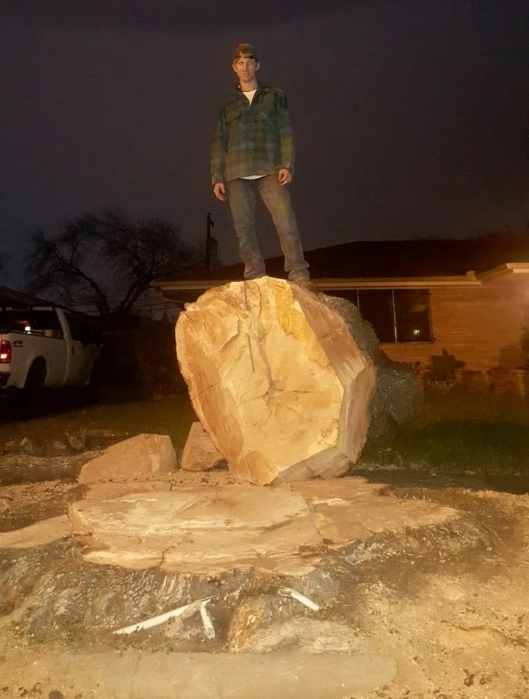 Affordable lawn mowing service for homes across Corpus Christi, TX - CC Tree Service