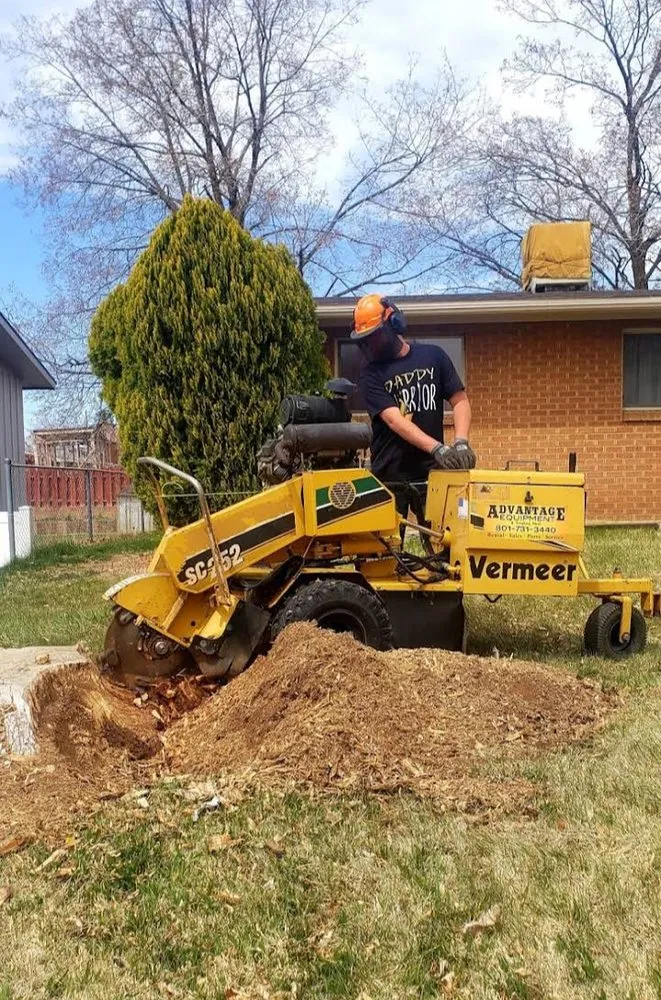 Top-rated lawn care service experts serving West Haven, UT - C&C Tree Service