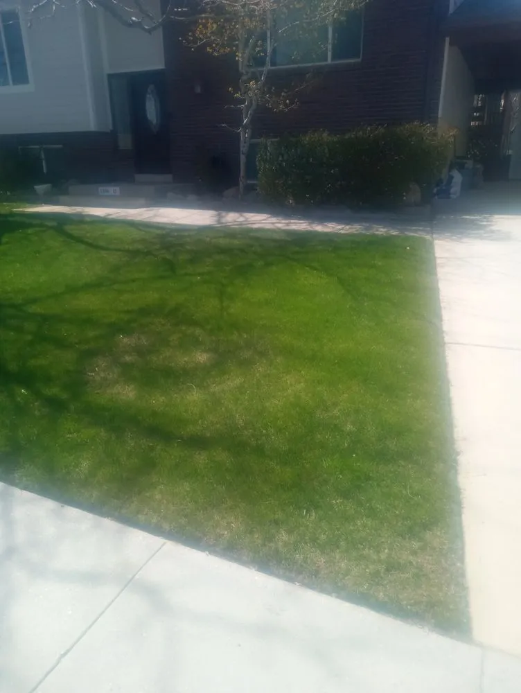 Custom yard cleanup service for year-round maintenance across West Haven, UT - C&C Tree Service