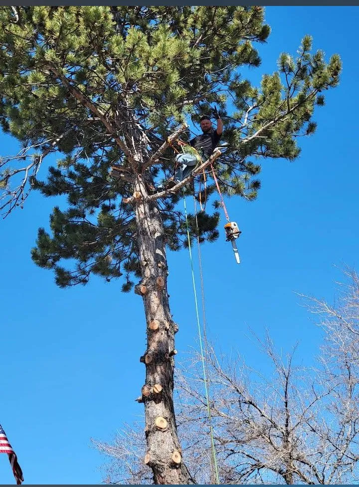 Reliable residential landscaping for homes in West Haven, UT by C&C Tree Service