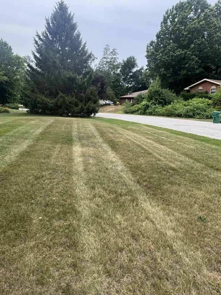 Reliable lawn mowing service in La Porte, IN by CCC Cleaning