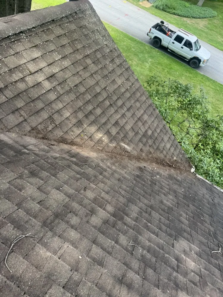 Expert residential landscaping in La Porte, IN by CCC Cleaning