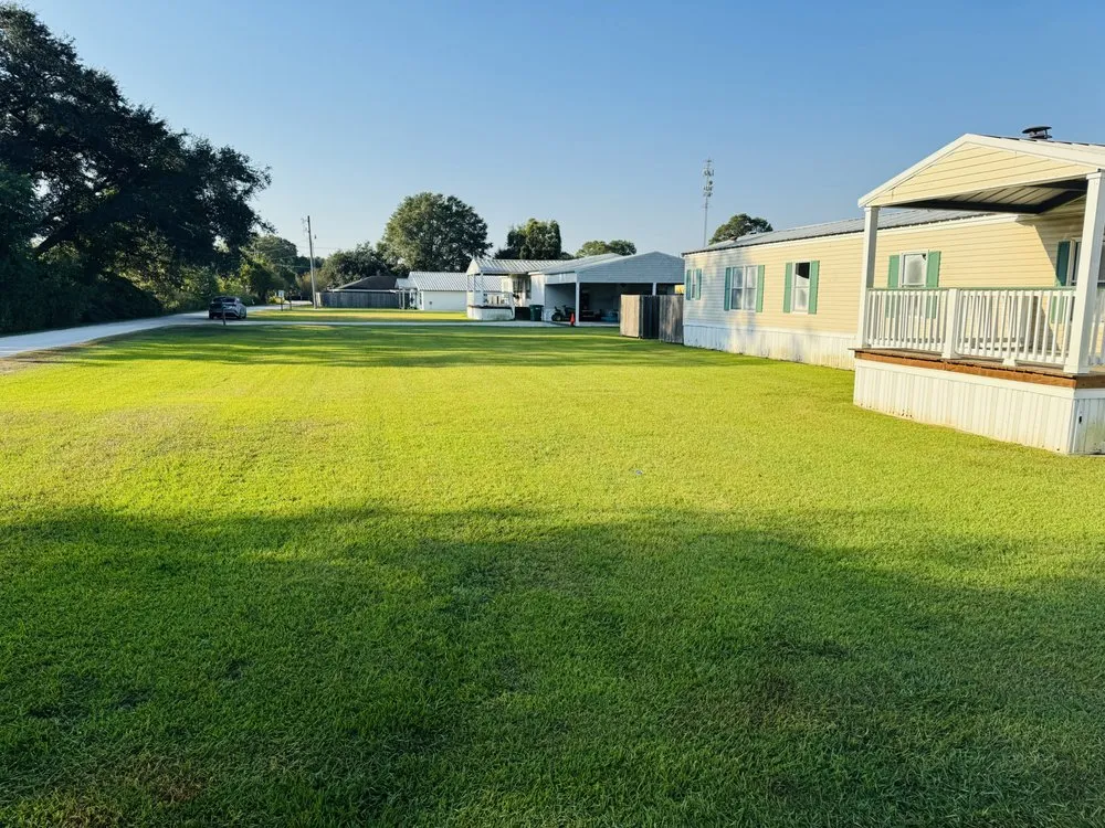 Affordable yard cleanup service for year-round maintenance across Youngsville, LA - CCC Galvez