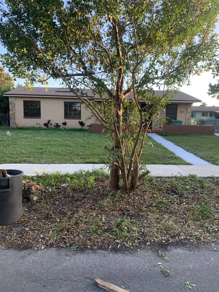 Expert garden landscaping with custom design in Lauderdale Lakes, FL by CCC lawn care & Trash Pick-up