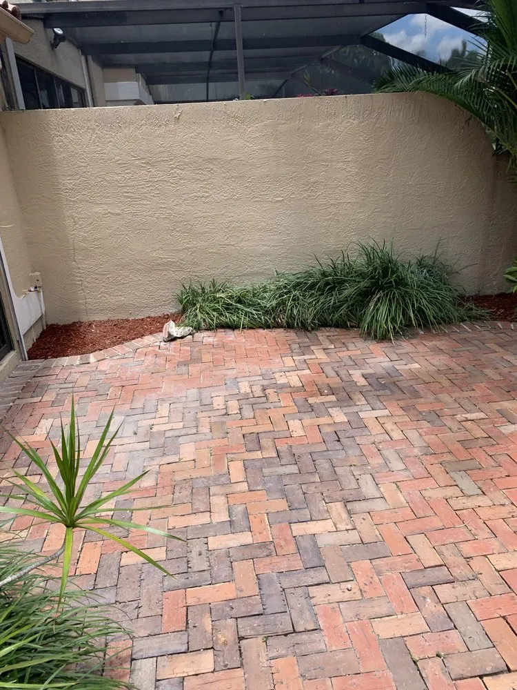Trusted landscaping services for year-round maintenance in Lauderdale Lakes, FL by CCC lawn care & Trash Pick-up