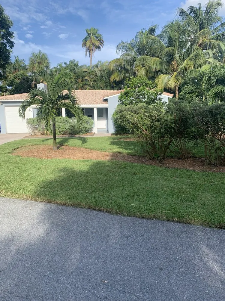 Reliable landscaping services for year-round maintenance in Lauderdale Lakes, FL by CCC lawn care & Trash Pick-up