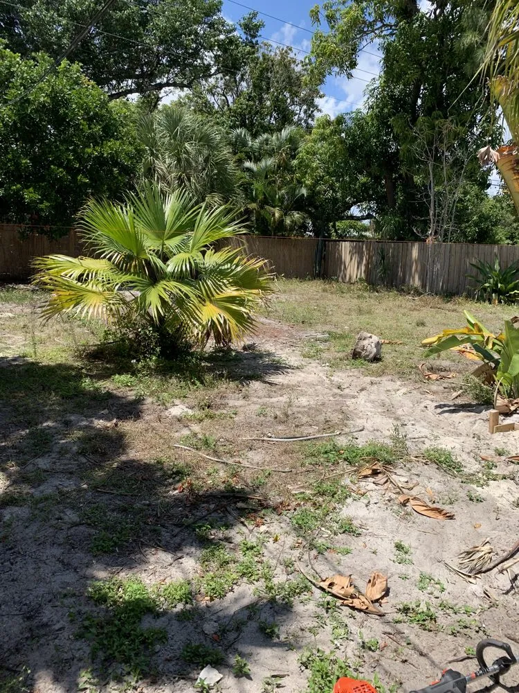 Professional residential landscaping experts serving Lauderdale Lakes, FL - CCC lawn care & Trash Pick-up